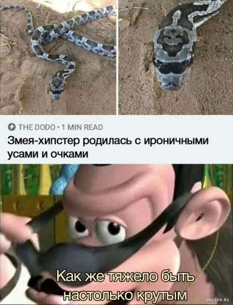 Мем, Джокер