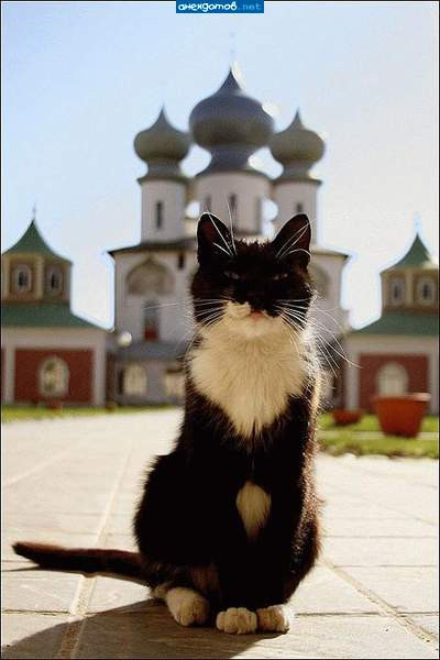 Мем: Послушник, Леонид Хлыновский