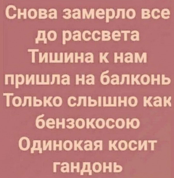 Мем, OLGERT