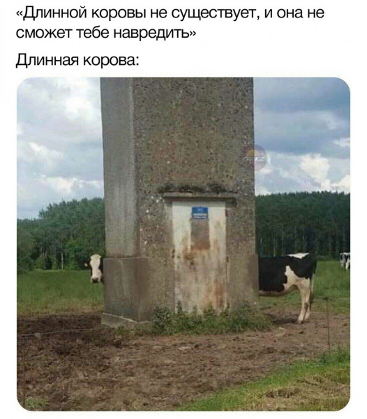 Мем, Кот Отморозкин