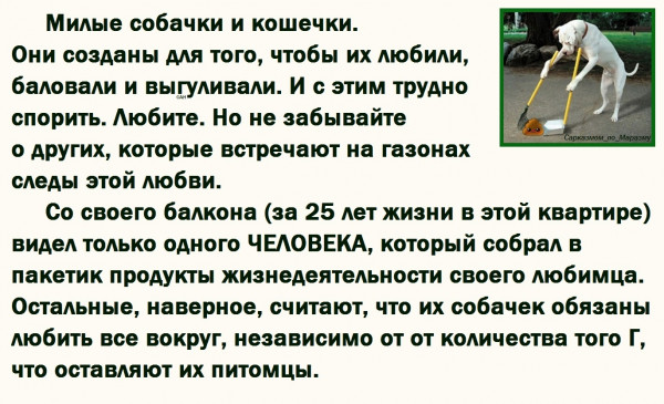 Мем, Александр САН