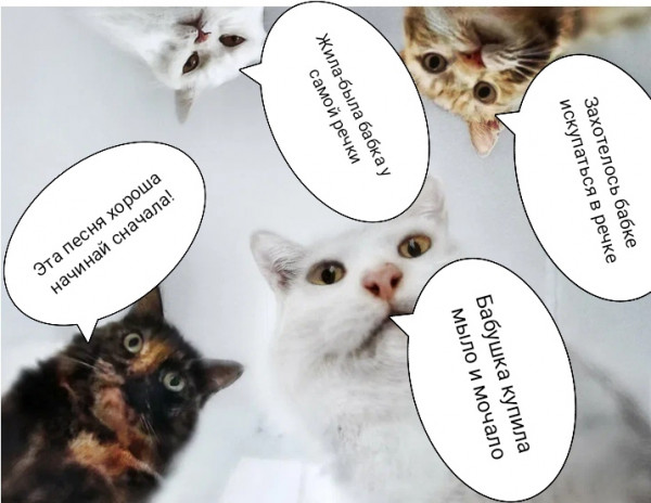 Мем: Коты и песня про бабку, ЮрийТ