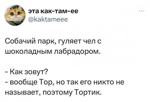 Мем, Брюттон