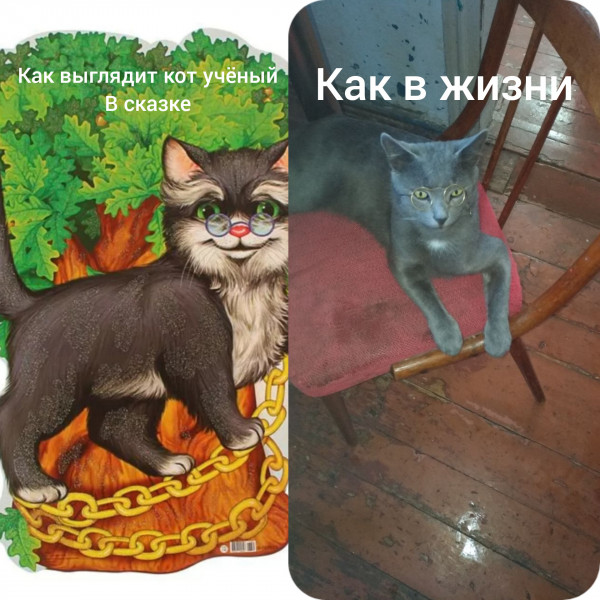 Мем: Кот учёный, HerobrineBaller Мем: Кот учёный, HerobrineBaller