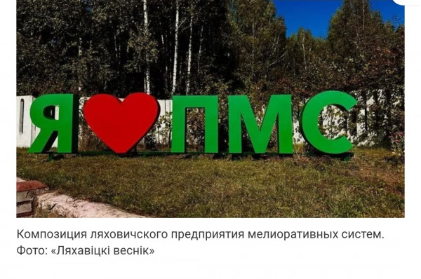 Мем: ПМС