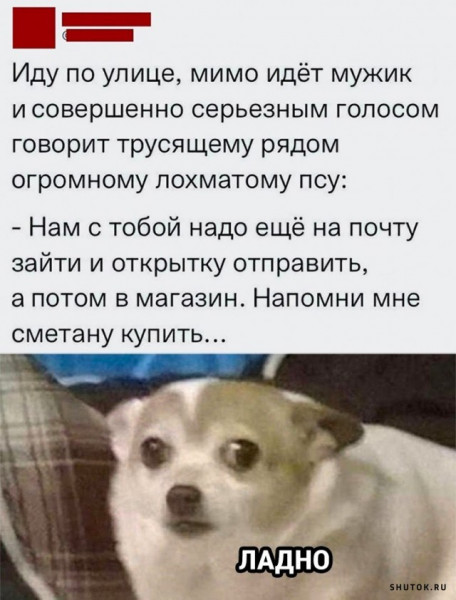 Мем, Джокер