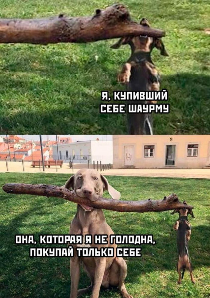 Мем, Mghost