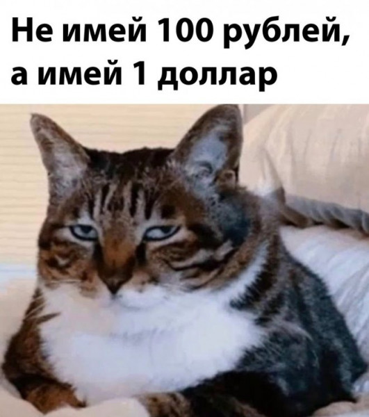 Мем, Брюттон