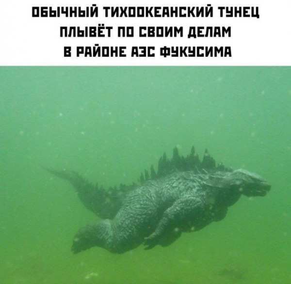 Мем