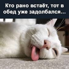 Мем, AlexanderM Мем, AlexanderM