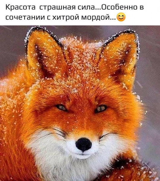 Мем