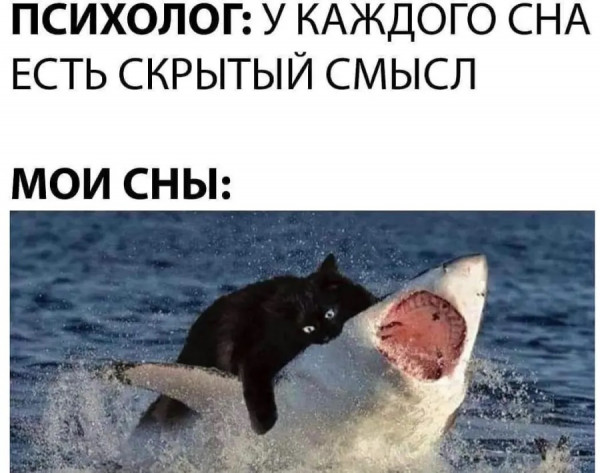 Мем, AlexanderM