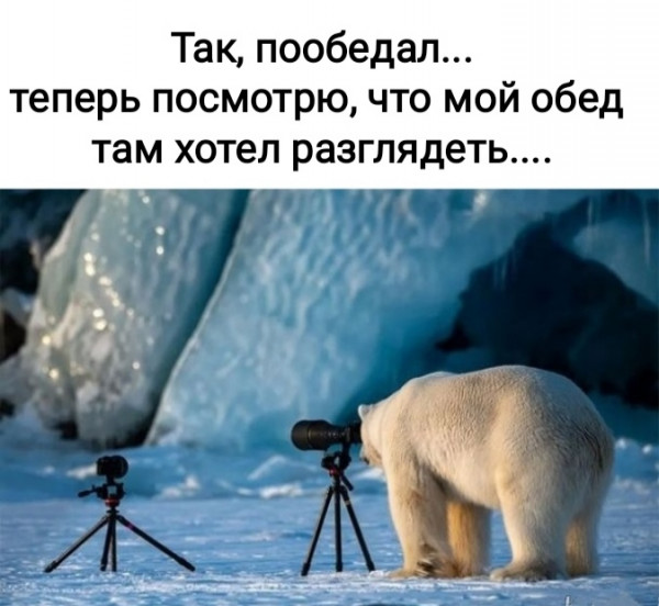 Мем, Рысь