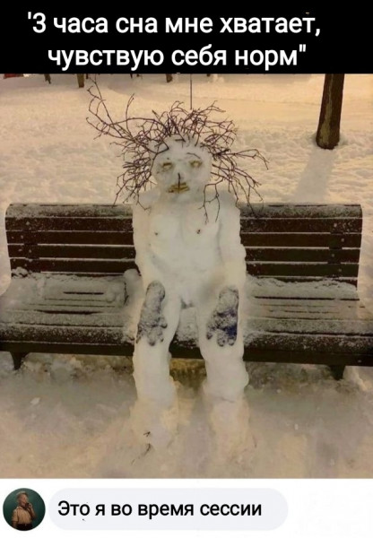 Мем, Рысь