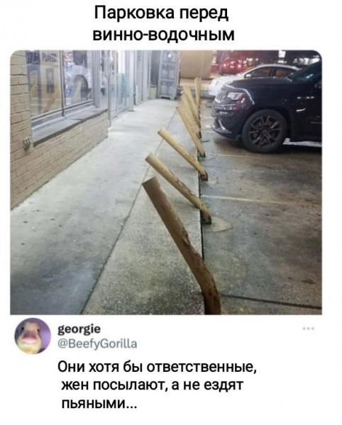 Мем, Рысь