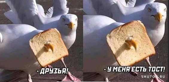 Мем, Джокер