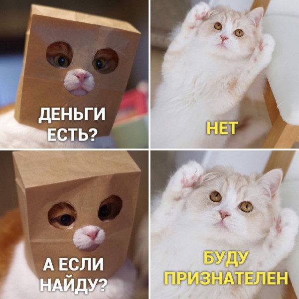 Мем, Брюттон