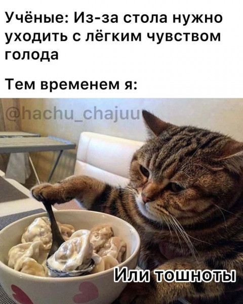 Веселая работа