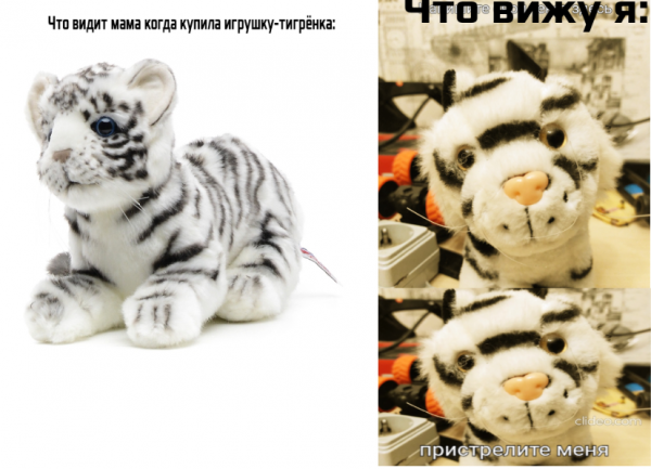 Мем: Это точно красивый тигрёнок?.., Руслан Дмитриев Алексеевич