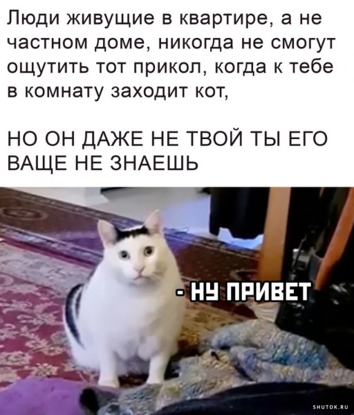 Мем, Джокер