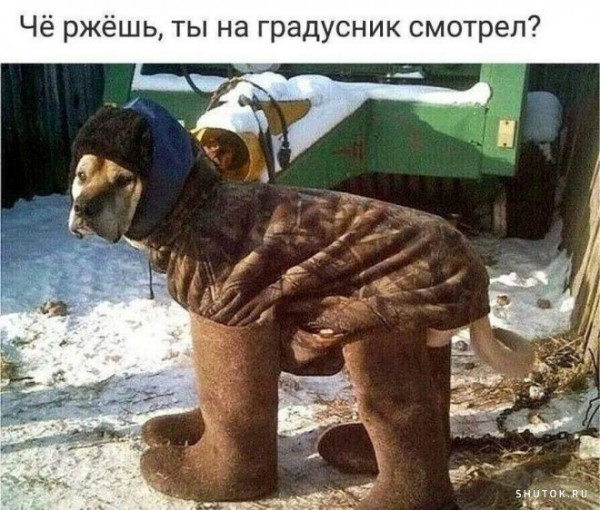 Мем, Джокер