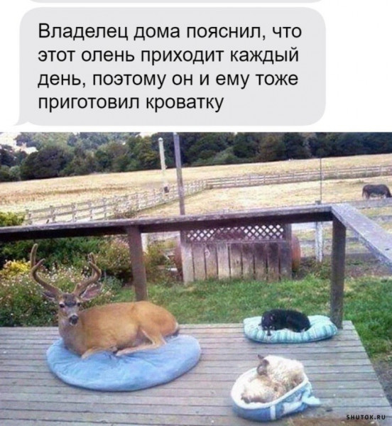 Мем, Джокер