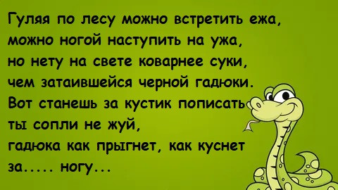Мем, Лис Интересный