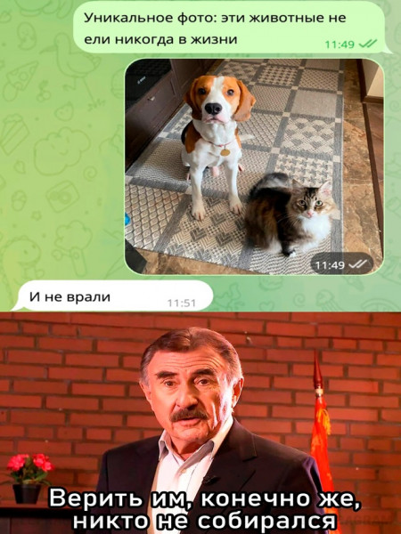 Мем, Микки Маус
