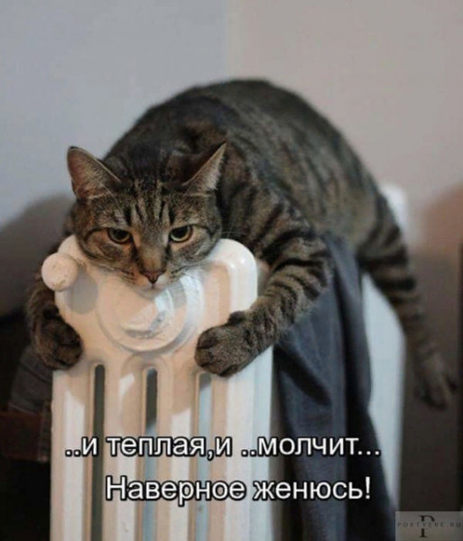 Мем