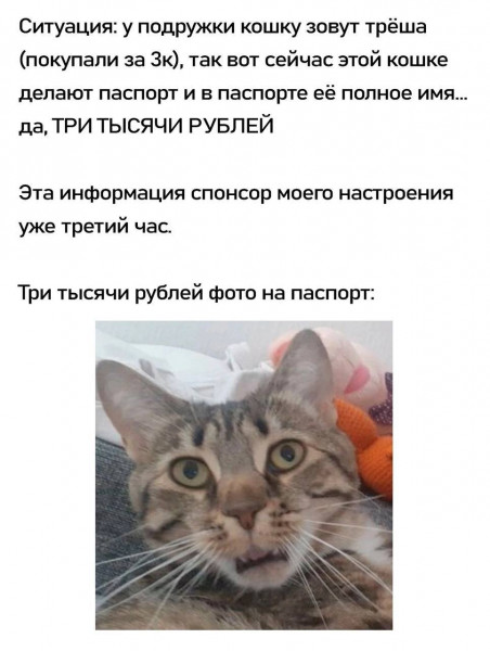 Мем: Три тысячи рублей., henh