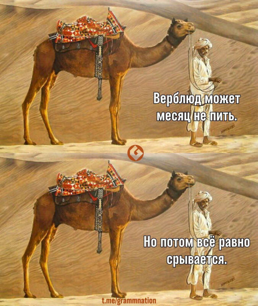 Мем, Максим Камерер