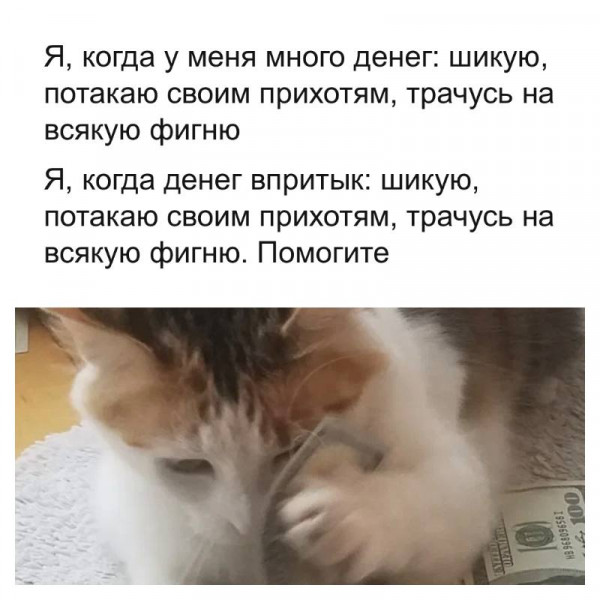 Мем, henh