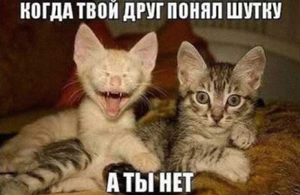Мем, Леонид Хлыновский
