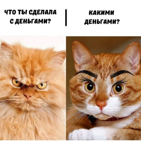 Мем, Mghost