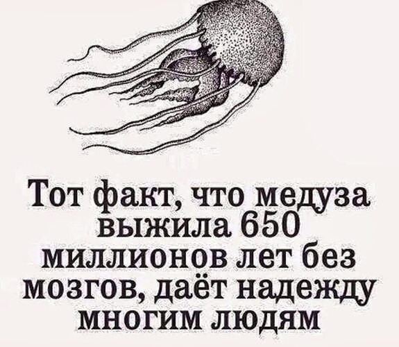 Мем, Дмитрий Анатольевич