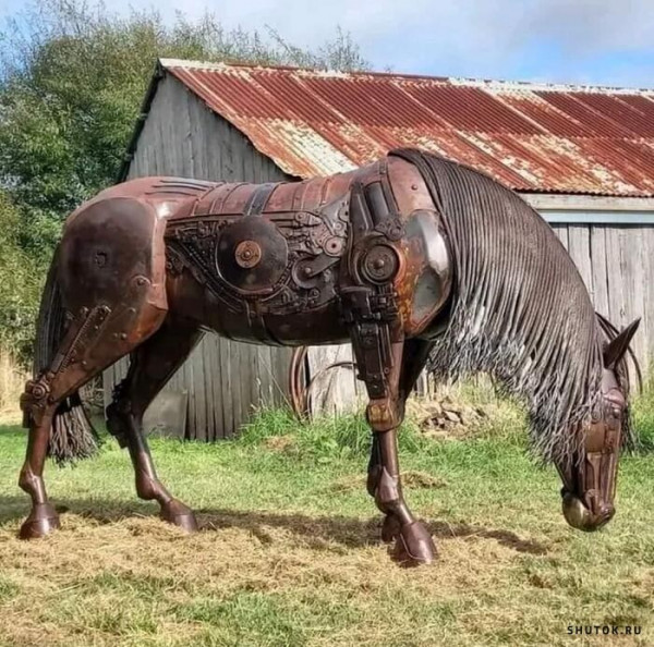 Мем, Джокер