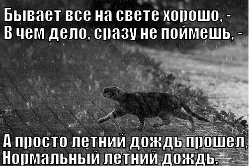 Мем, AlexanderM