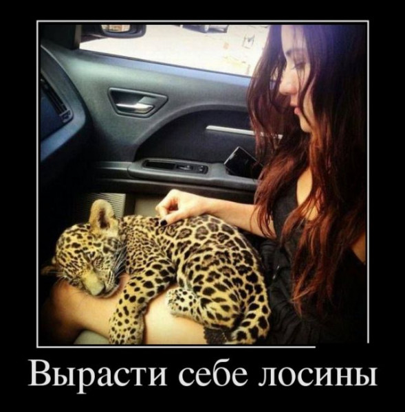 Мем, beauty_foo_ll