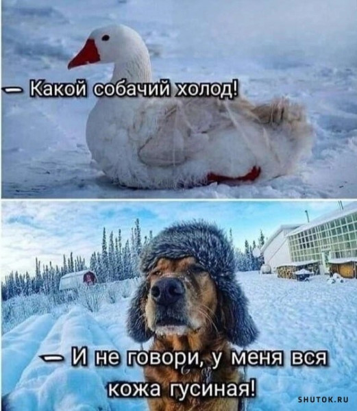 Мем, Джокер