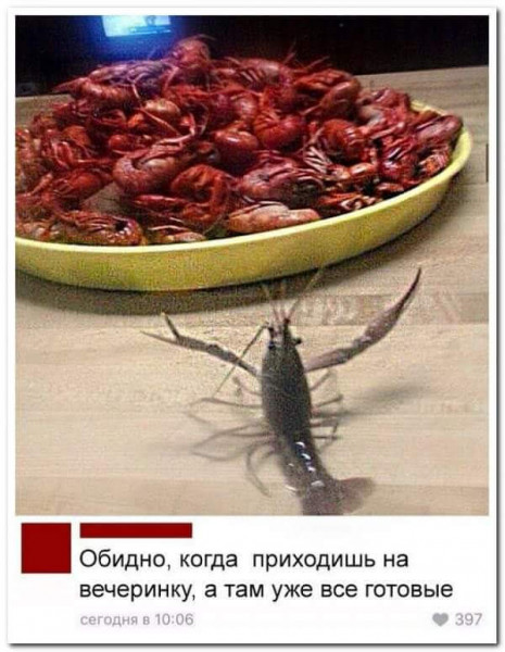 Мем, Mimic