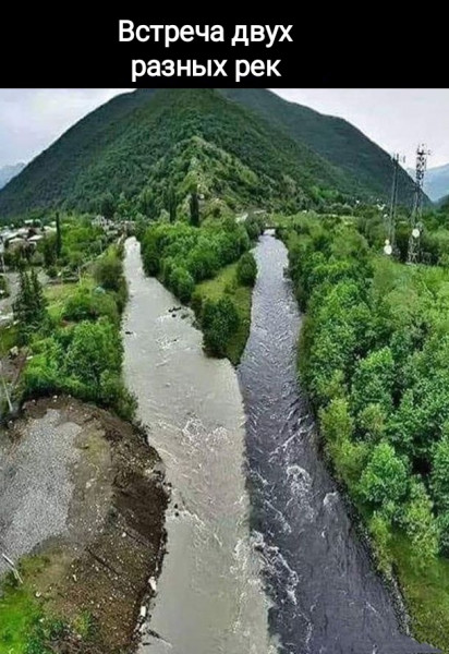 Мем, Рысь