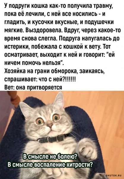 Мем, Джокер