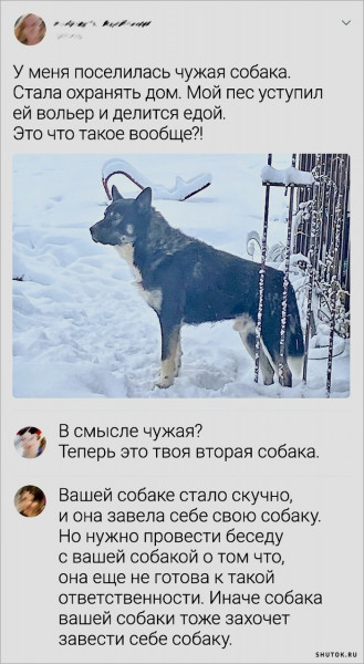 Мем, Джокер