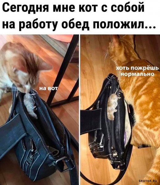 Мем, Джокер