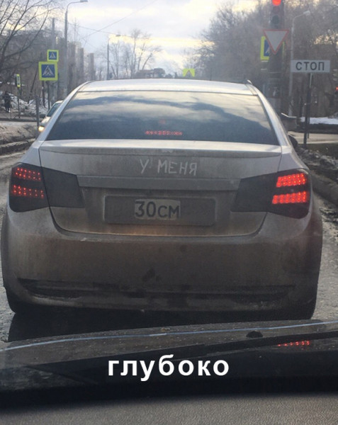 Мем, тпица