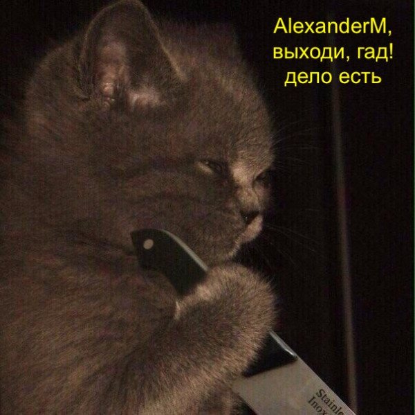 Мем: AlexanderM разозлил котиков, suchka