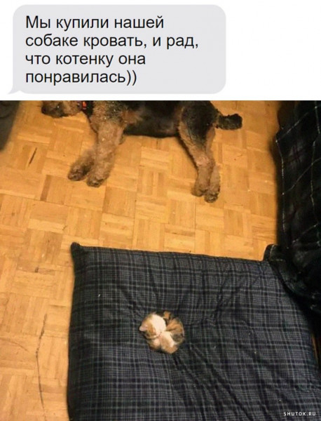 Мем, Джокер