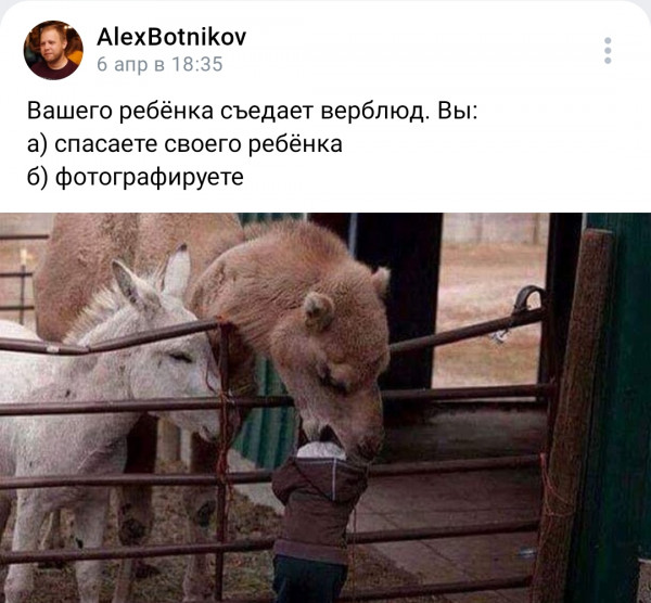 Мем, alexbotnikov