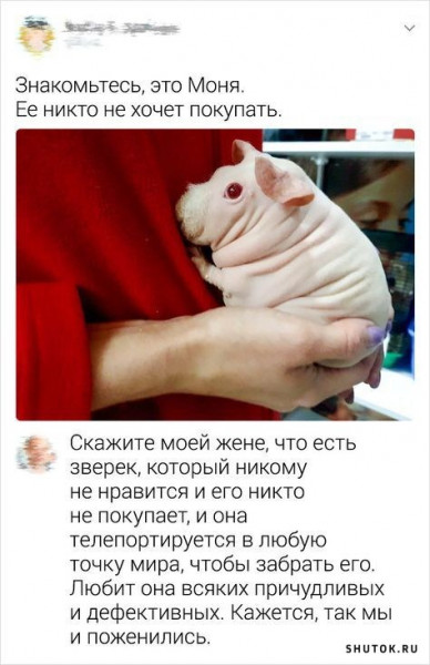 Мем, Джокер