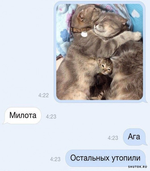 Мем, Джокер